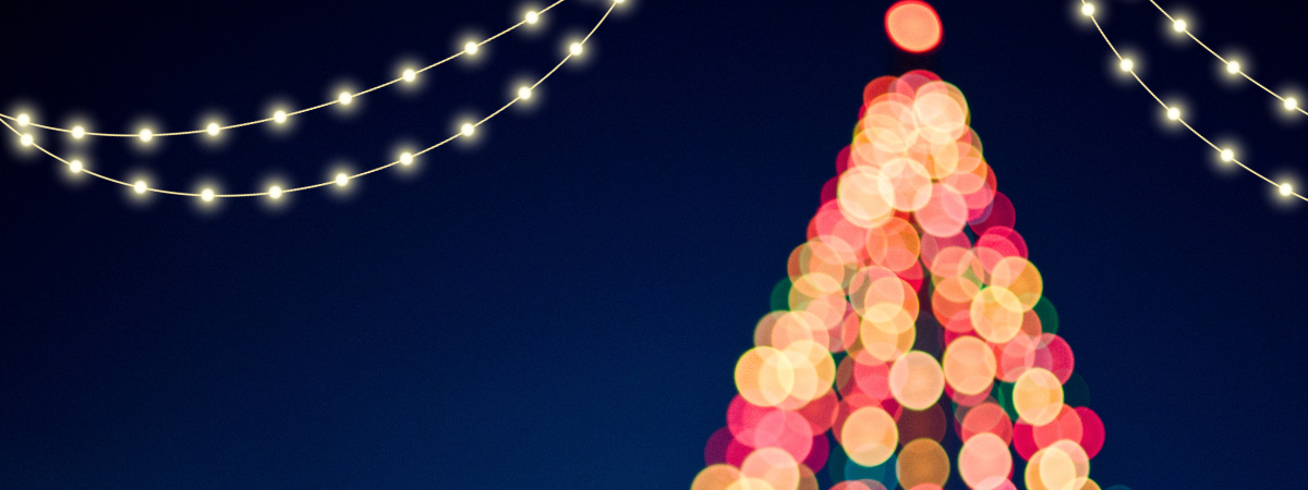 A pine tree lit up with colourful lights with two strands of bright gold string lights on each side of the tree.